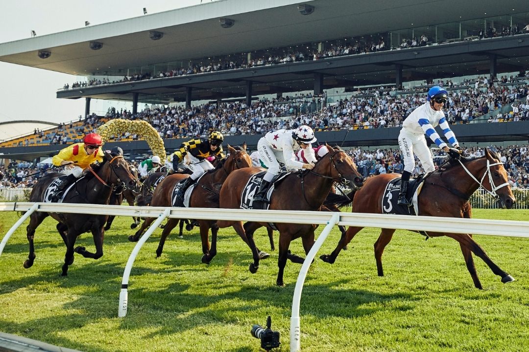 Guide to the Ultimate Day at Rosehill Racecourse AT Parramatta